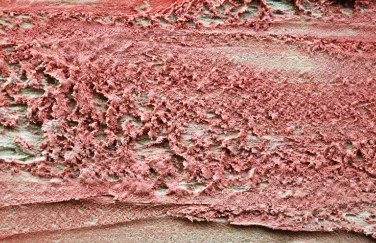 Abstract Grunge Texture Auto Body Series #3
