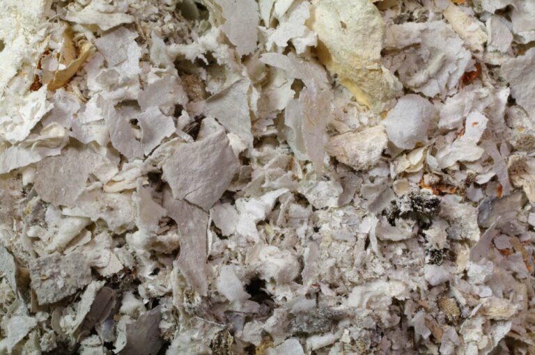 Abstract Macro Photo of Ashes