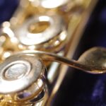 Flute 11 Web