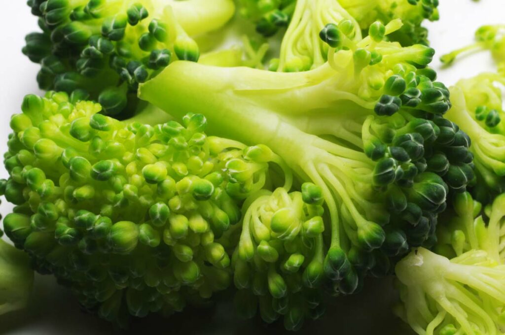 Macro Broccoli Lowres