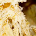 Macro Pumpkin Pulp Web Preview