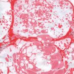 Marbledpaper8 Web