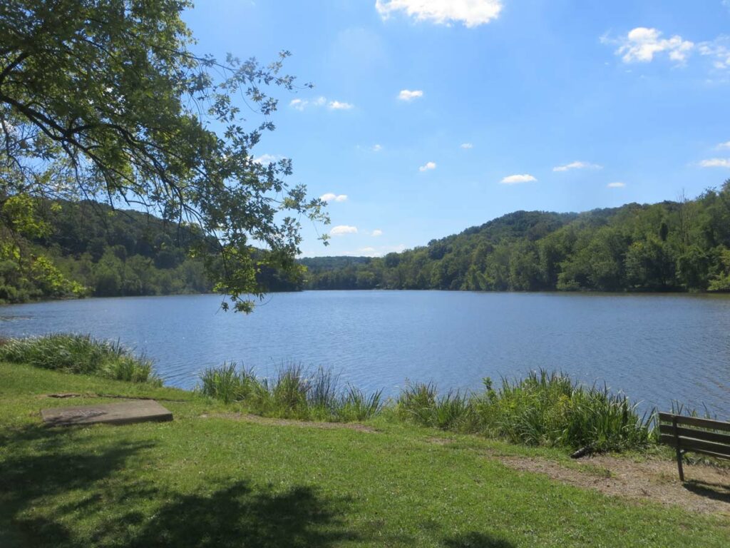 North Park Lake Bench Webres