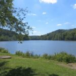 North Park Lake Bench Webres