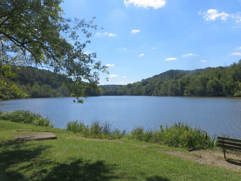 Peaceful View of a Bench Next to a Lake