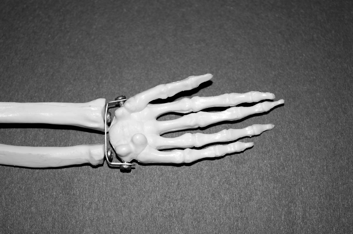 Plastic Skeleton Hand Web