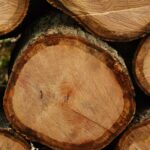 Smx Firewood Logs Stack Lowres