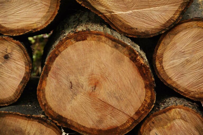 Firewood Logs Stacked