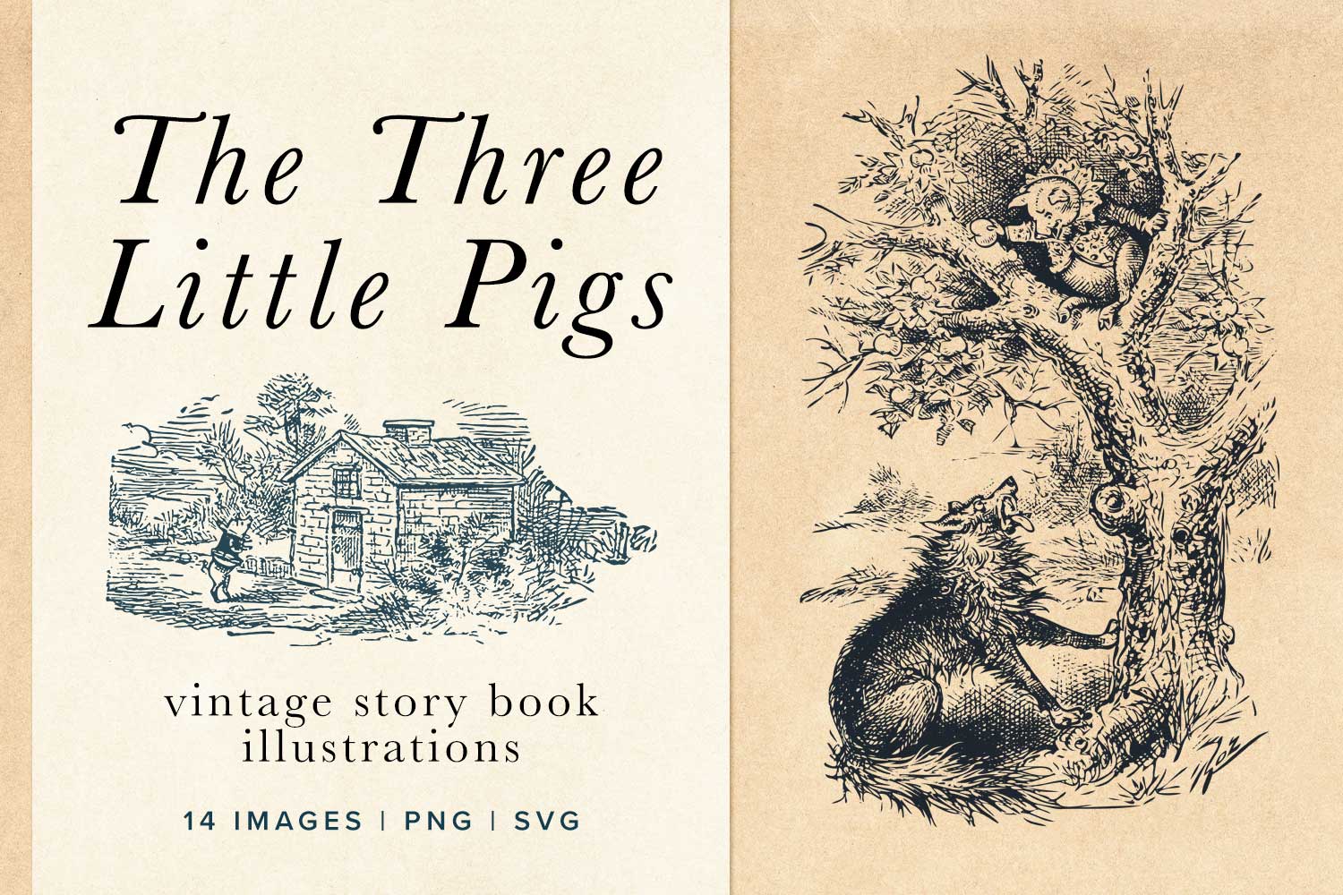 Three Little Pigs Vintage Illustrations Vectors Preview