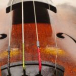 Violin Broken String Web