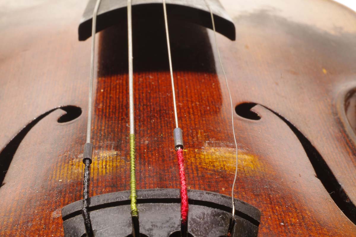 Violin Broken String Web