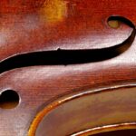 Violin F Hole Web