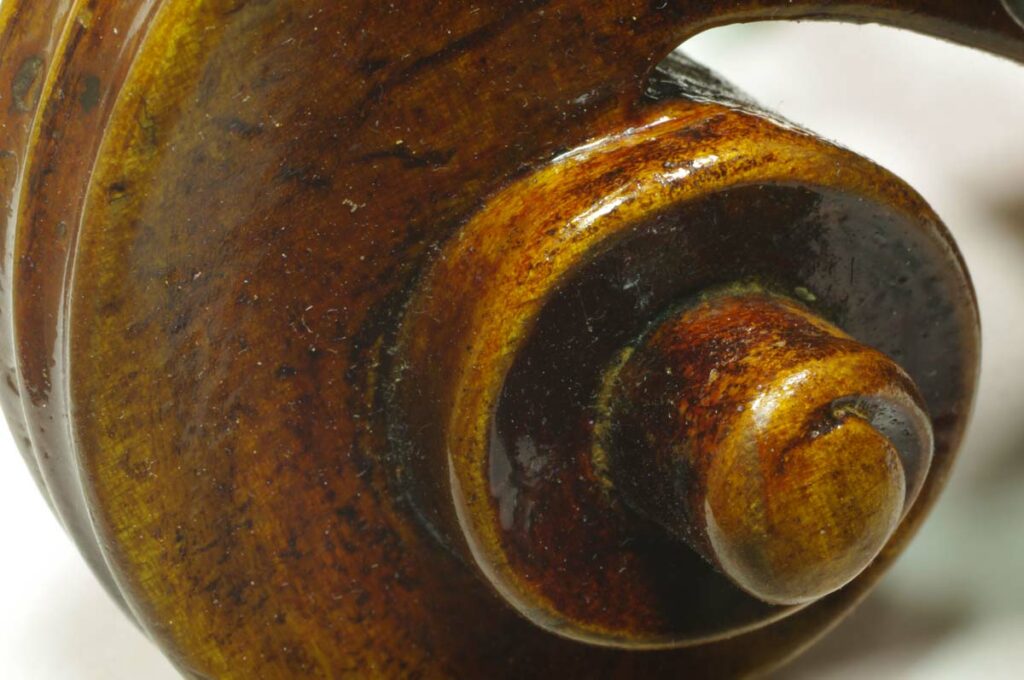 Violin Headstock Macro Web