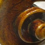 Violin Headstock Macro Web