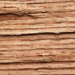 Woodmacro2