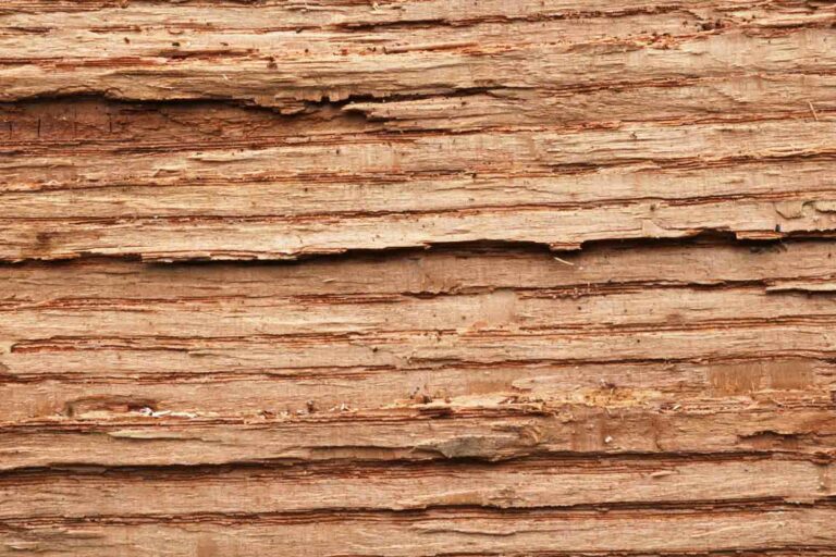 Macro Wood Texture