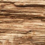 Woodmacro3