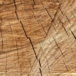 Woodmacro4