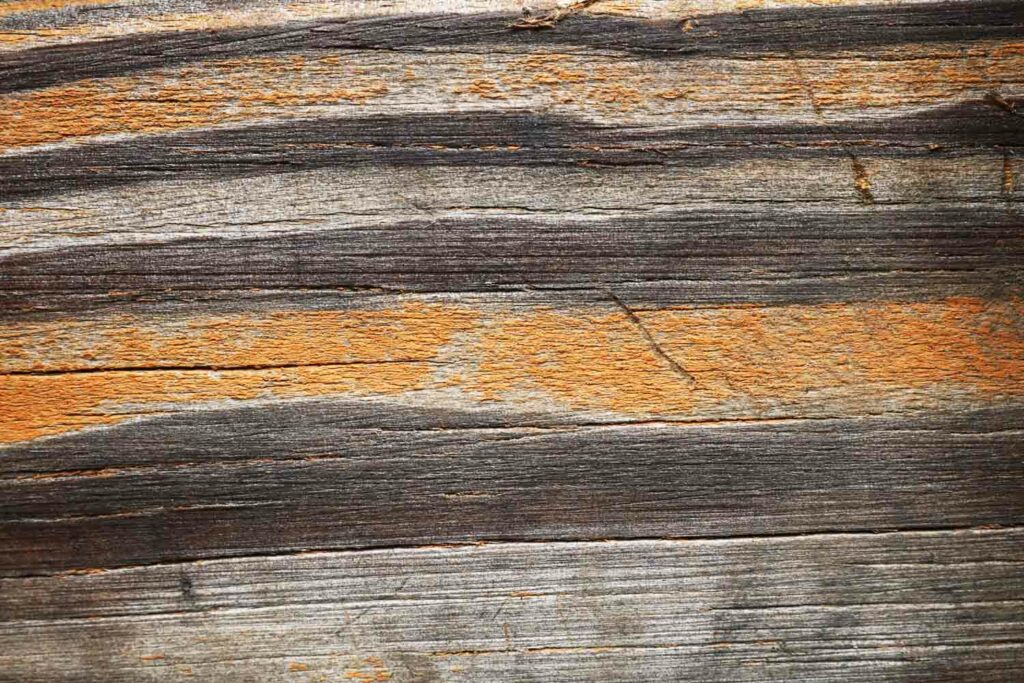Distressed Wood Texture Photo