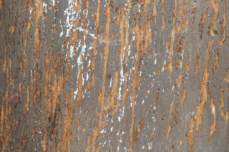 Distressed Dark Wood Grain Texture