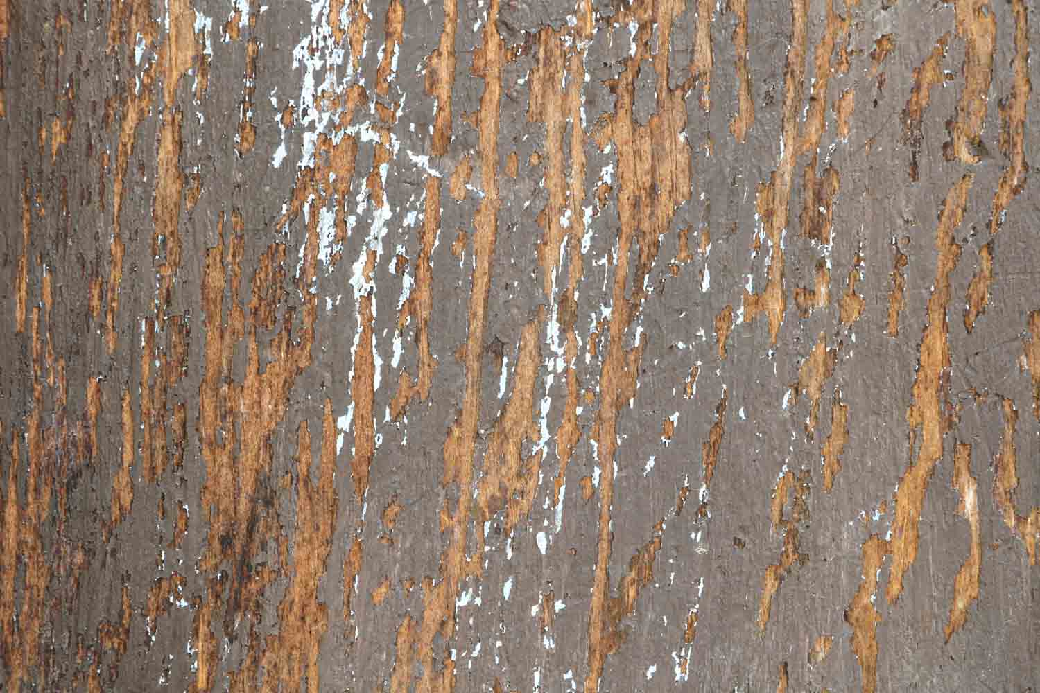 Wood texture 3