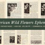 American Wildflower Ephemera Pages