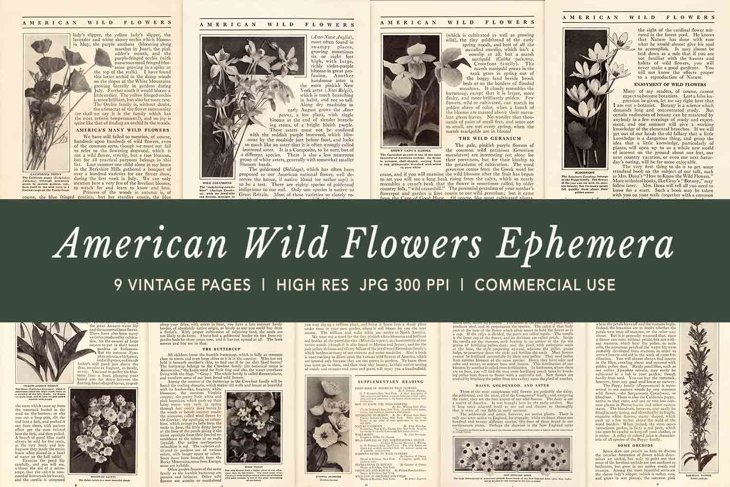 American Wildflower Ephemera Pages