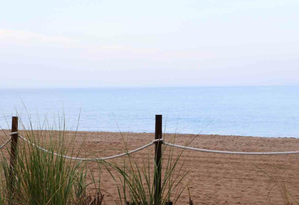 Beachfence 1.jpg