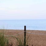 Beachfence 1.jpg