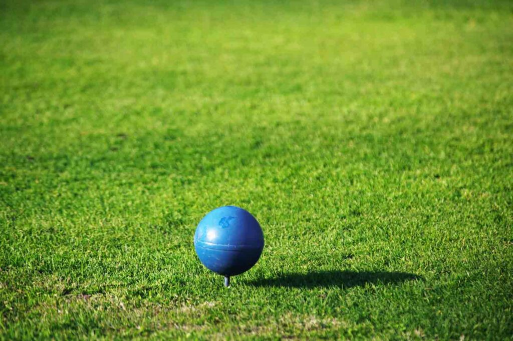 Blue Golf Tee Marker 1.jpg
