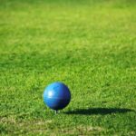 Blue Golf Tee Marker 1.jpg