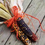 Calico Corn Autumn 1.jpg