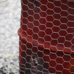 Chicken Wire Burn Barrel 1.jpg