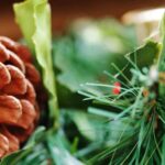 Christmas Pine Cone Branch 1.jpg