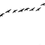 Flying Geese Silhouette 1.jpg