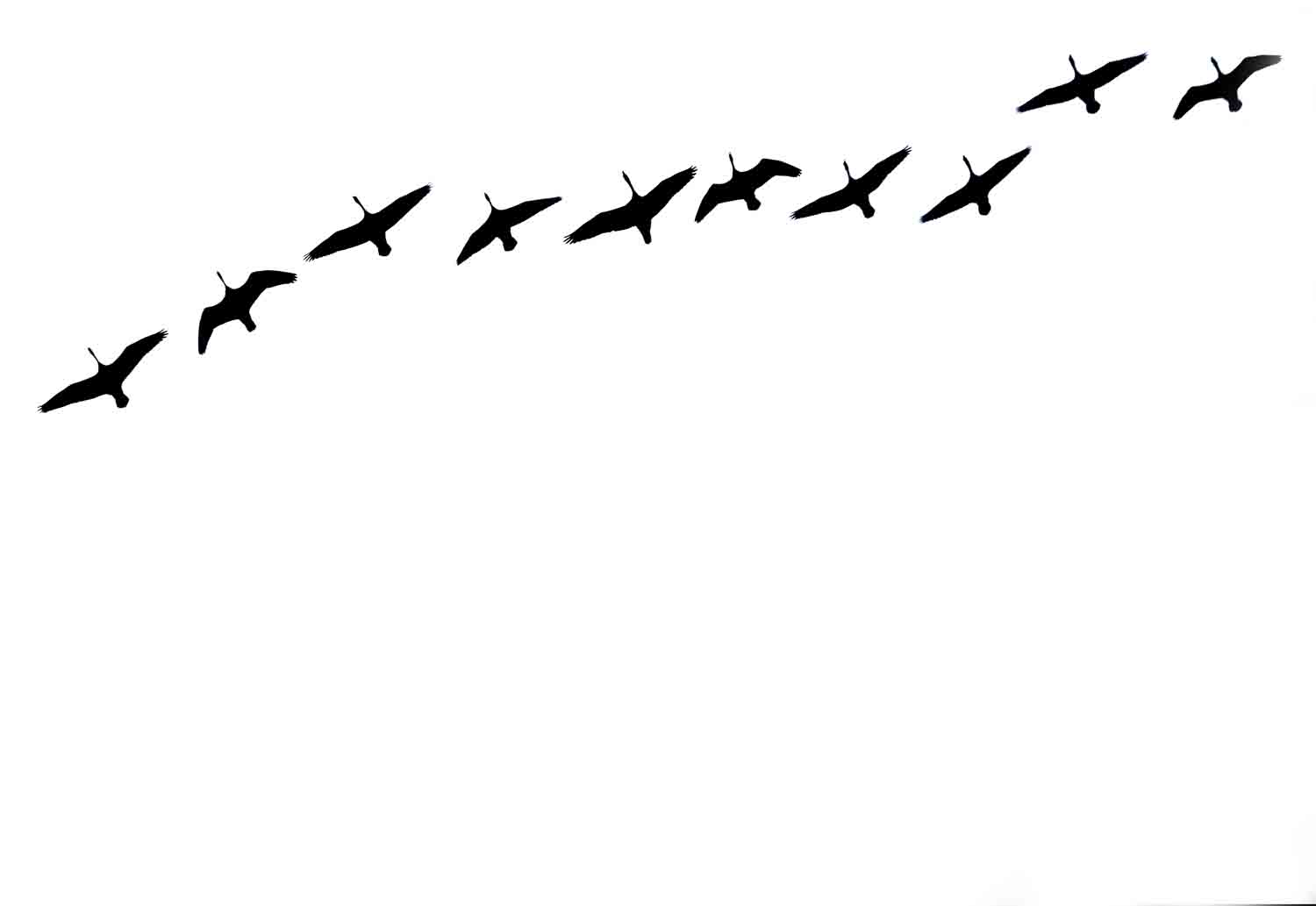 Flying Geese Silhouette 1.jpg