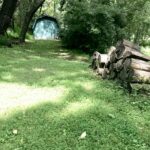 Green Backyard Shed 1.jpg