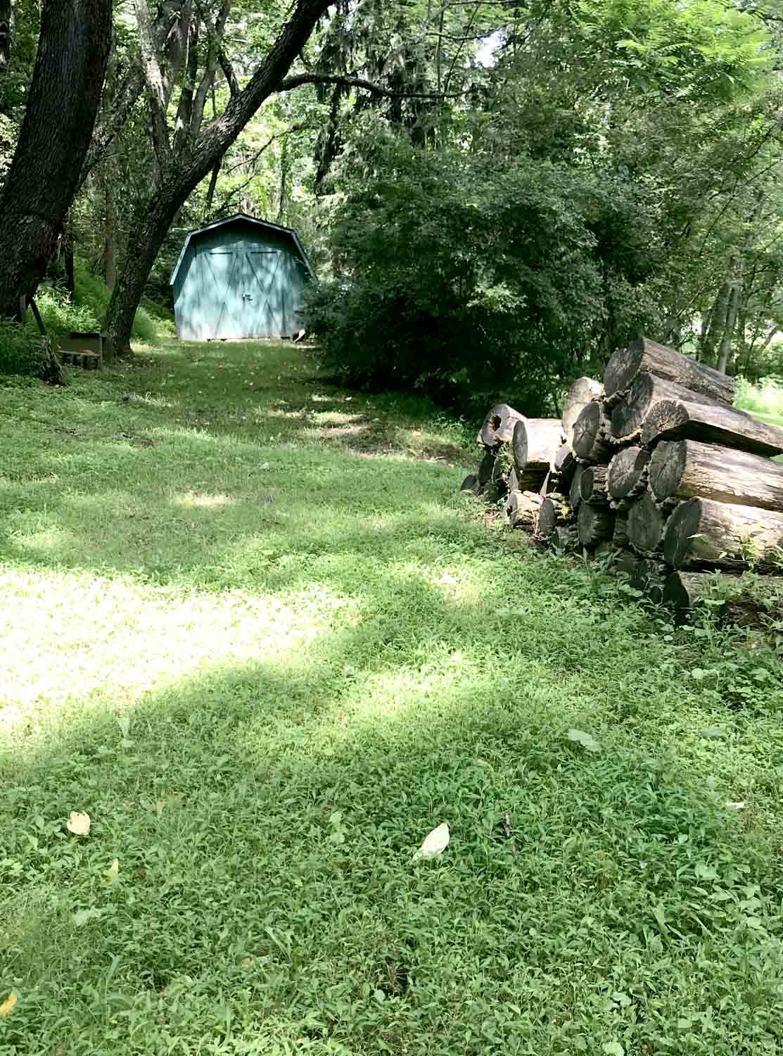 Green Backyard Shed 1.jpg