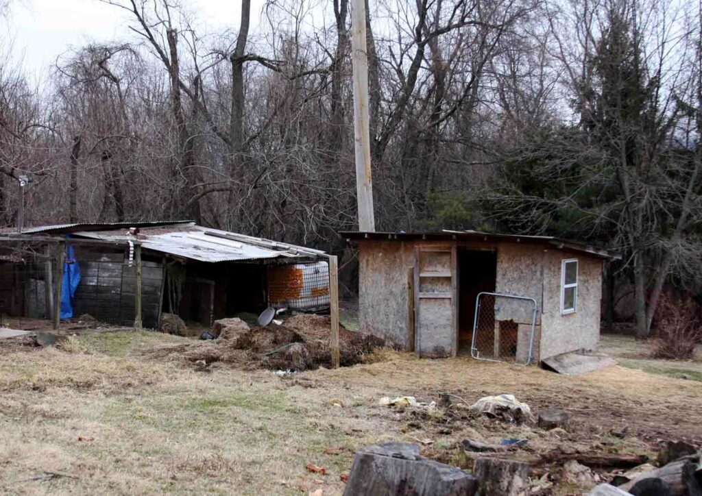 Old Run Down Shack 1.jpg