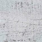 Peeling Chipped White Paint 1.jpg