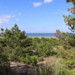 Pinedunesocean 1.jpg