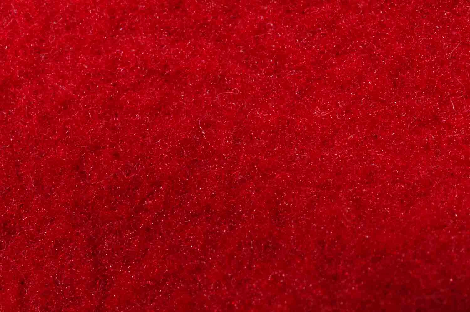 Red Felt 1.jpg