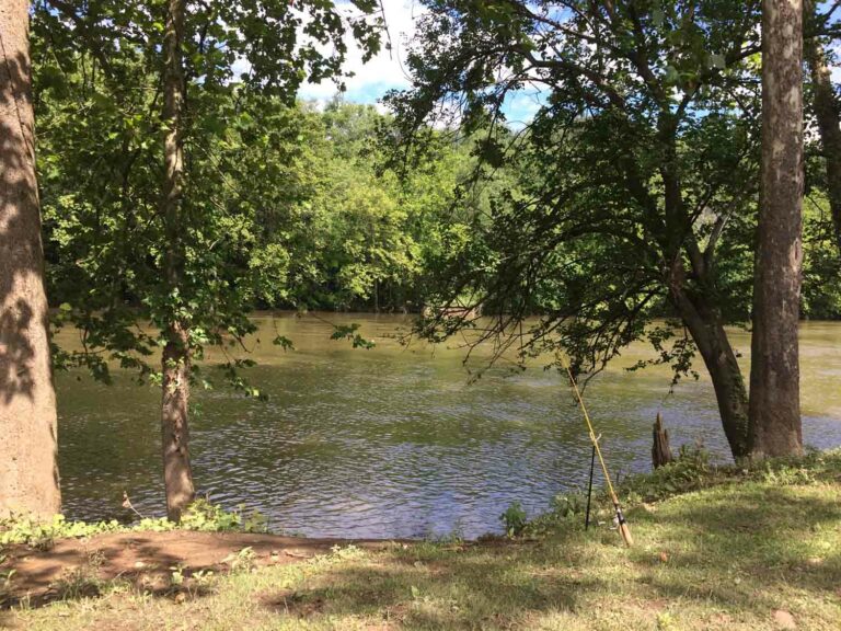 Fishing Pole at the River