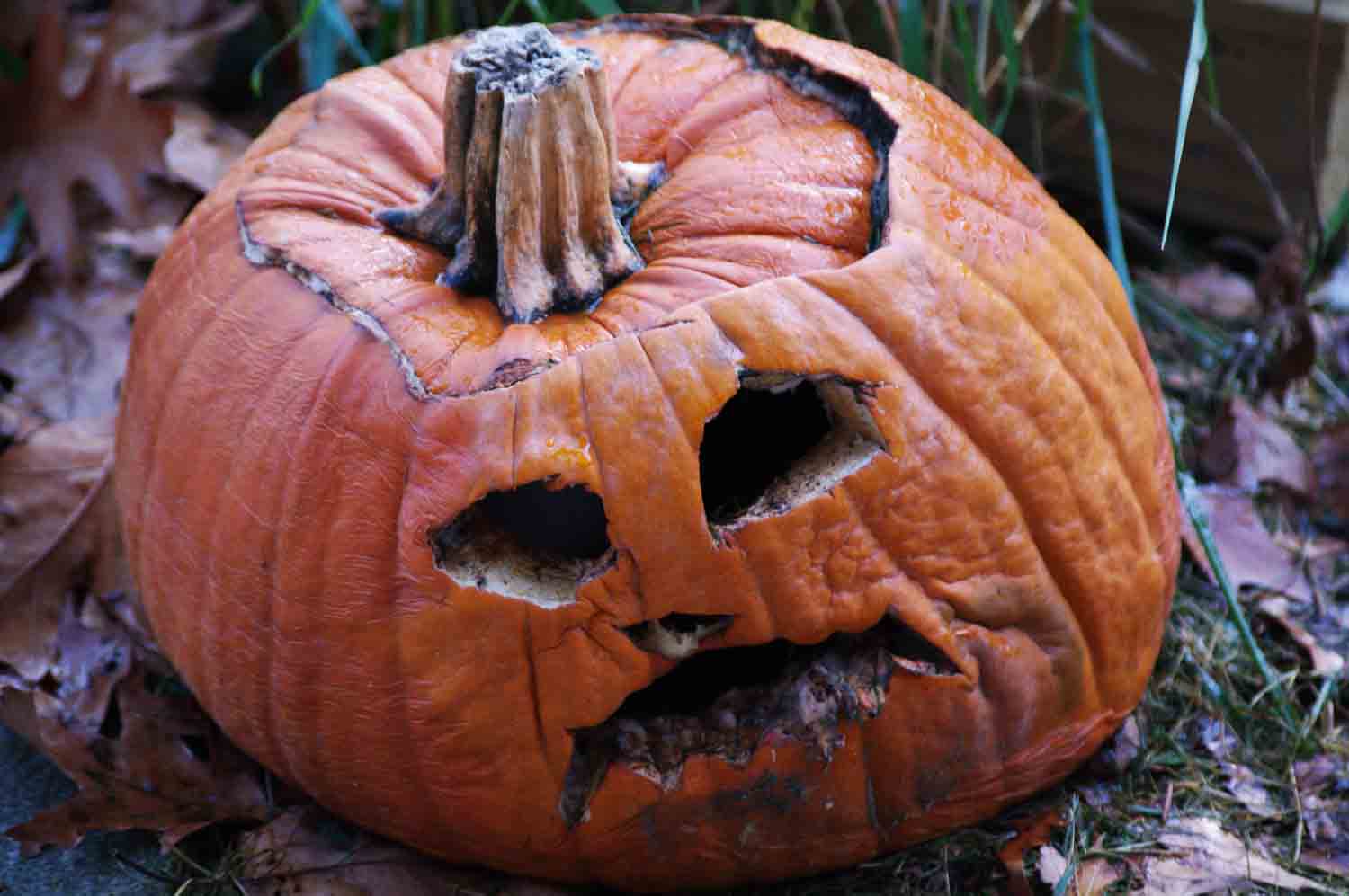 Sad Spooky Jack O Lantern 1.jpg