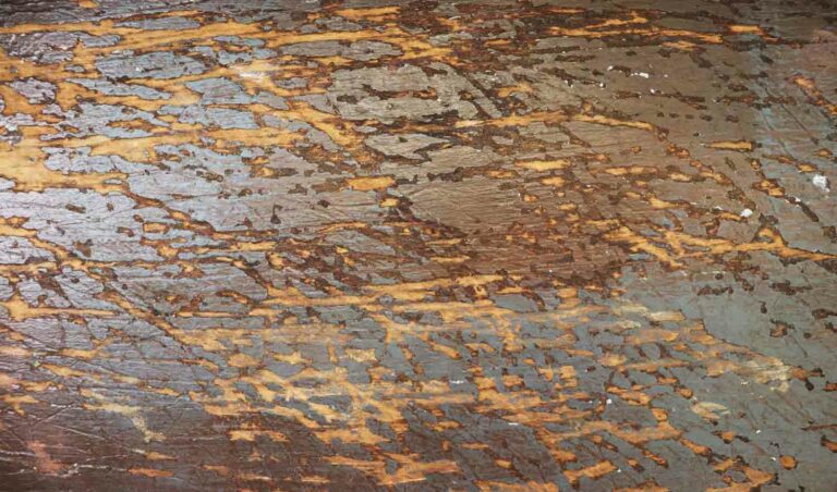 Scratched Door Texture