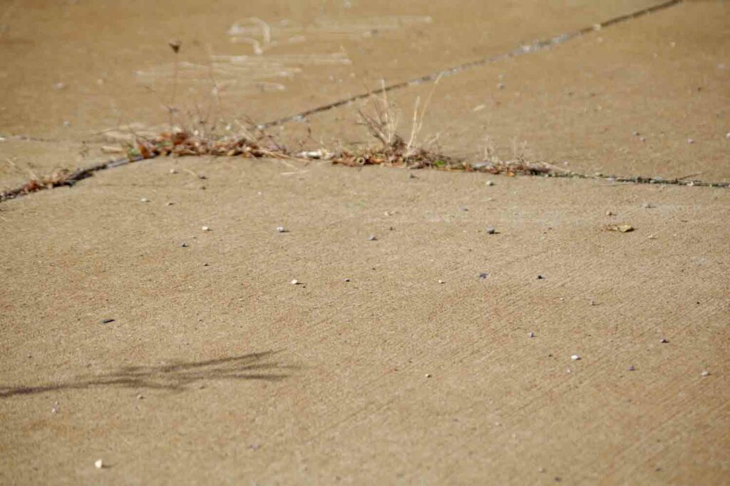 Sidewalk Cracks 1.jpg