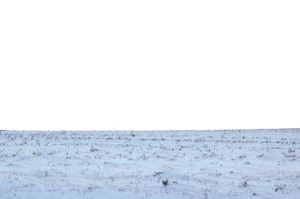 Snow Covered Field 1.jpg