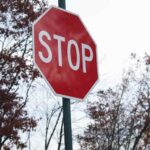 Stop Sign Fall Day 1.jpg