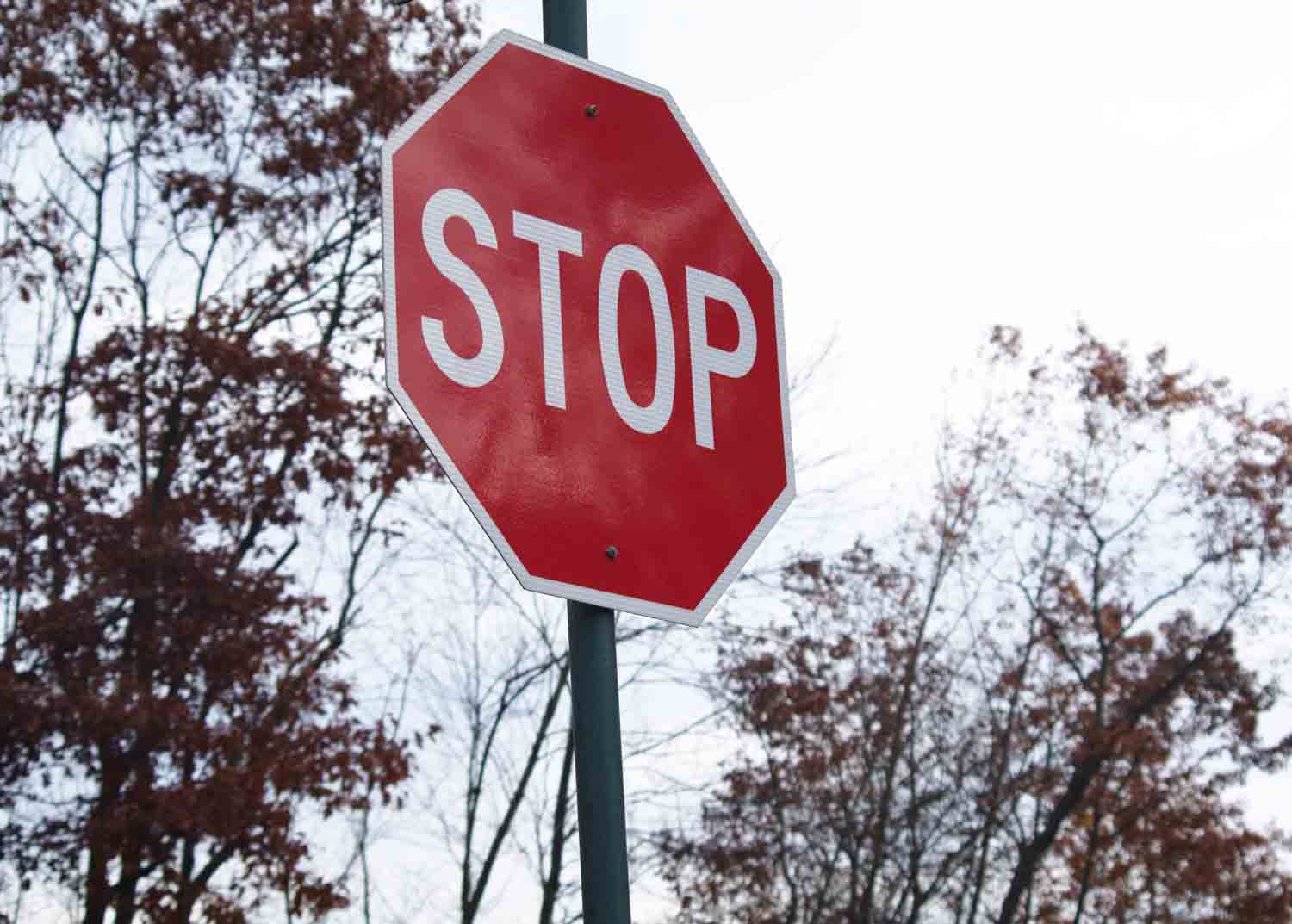 Stop Sign Fall Day 1.jpg