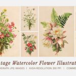 Vintage Watercolor Flower Illustrations